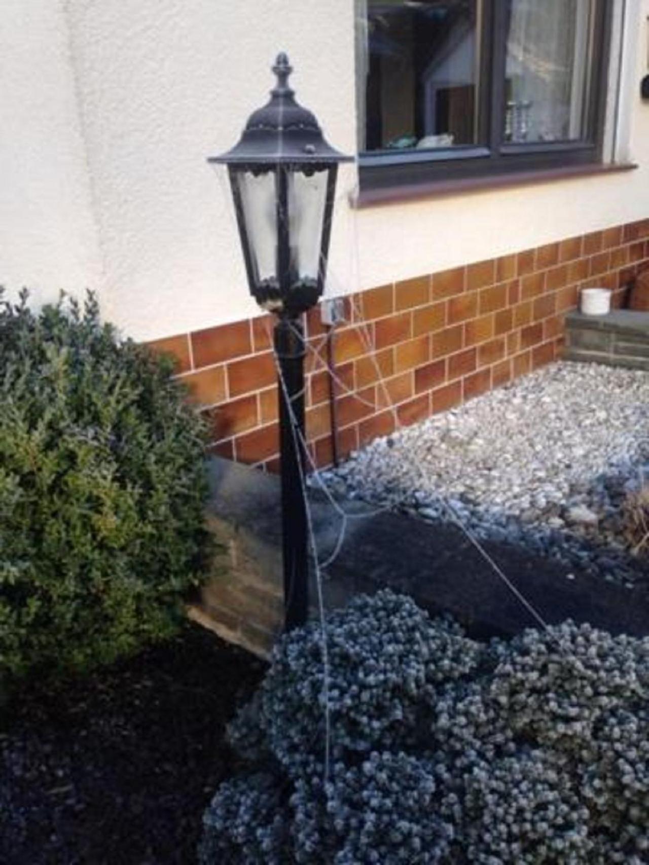 Ferienwohnung Ons Stulpje Schoutsen Oberorke Exterior foto